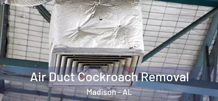  Air Duct Cockroach Removal Madison - AL