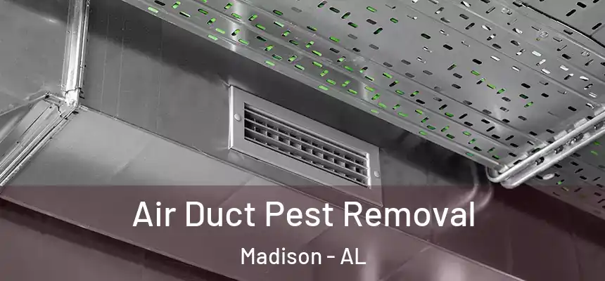  Air Duct Pest Removal Madison - AL