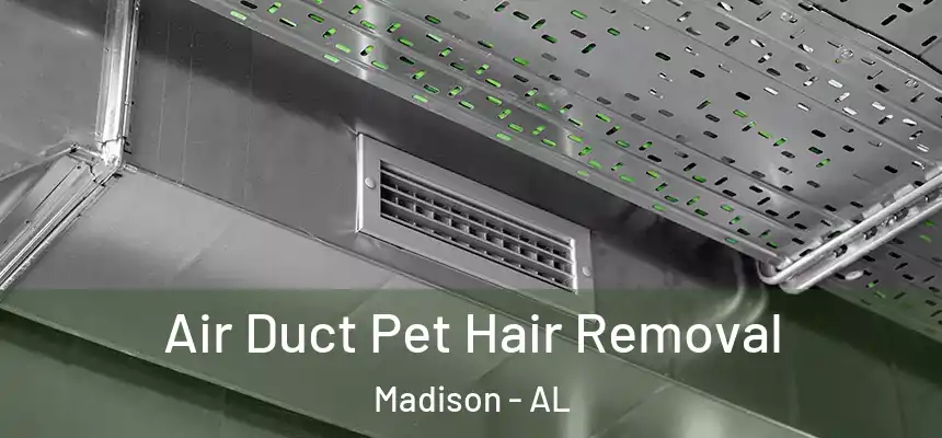  Air Duct Pet Hair Removal Madison - AL