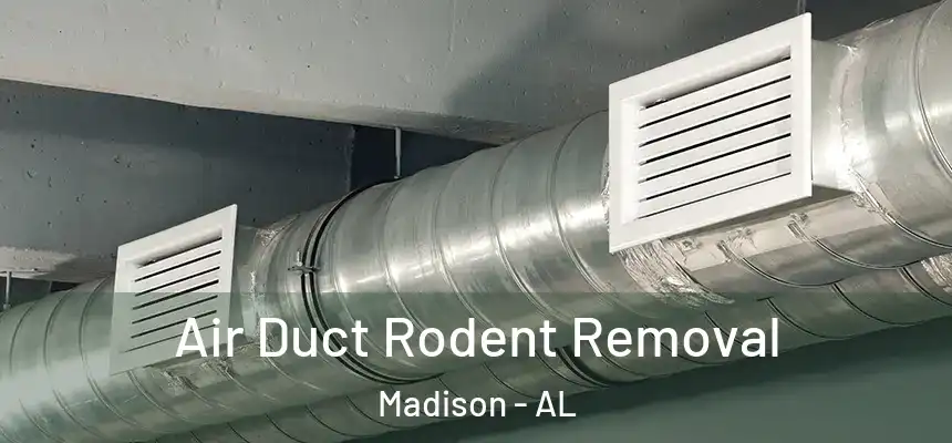 Air Duct Rodent Removal Madison - AL