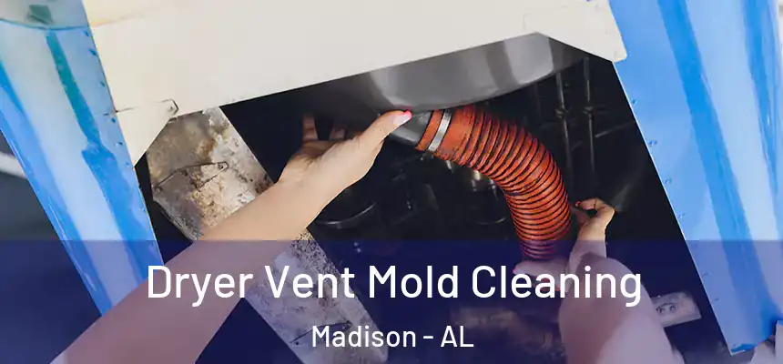 Dryer Vent Mold Cleaning Madison - AL
