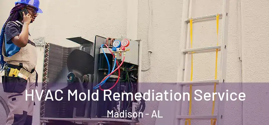  HVAC Mold Remediation Service Madison - AL