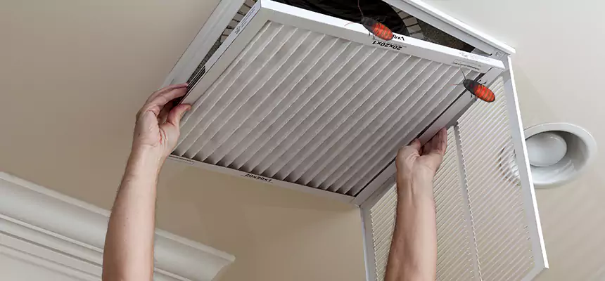 Our Insect Removal from Air Ducts Services in Madison, AL