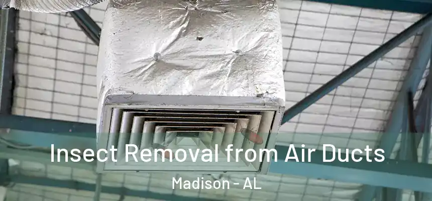  Insect Removal from Air Ducts Madison - AL