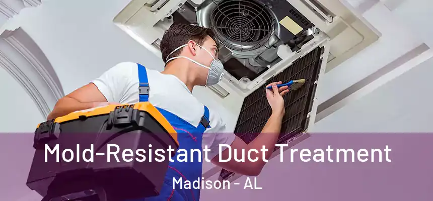Mold-Resistant Duct Treatment Madison - AL