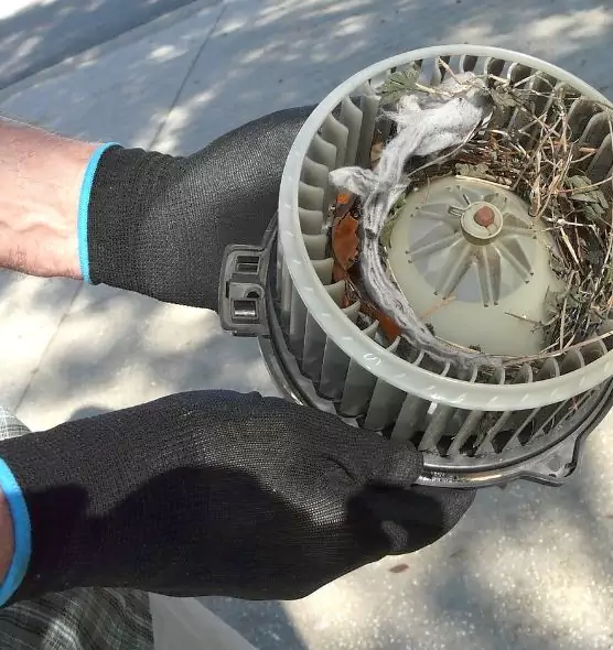 About Air Duct Mice Removal in Madison, AL