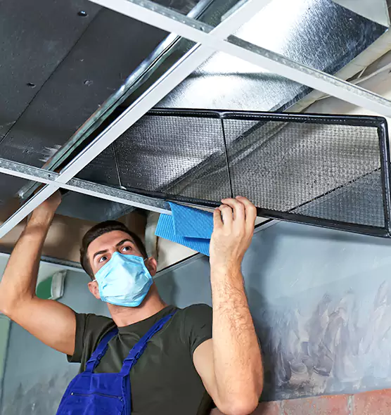 Professional Air Duct Pollen Cleaning in Madison, AL