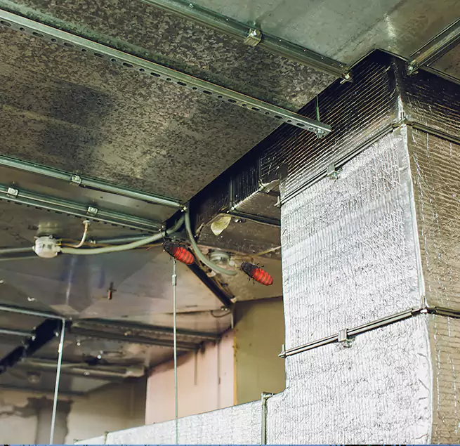 Why Homeowners & Businesses Trust Us in Madison, AL?