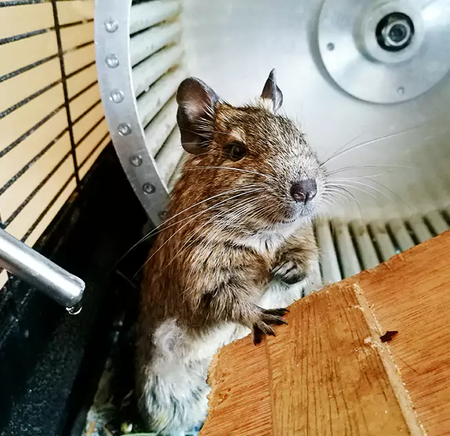 Why Homeowners & Businesses Trust Us Madison, AL